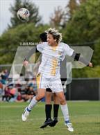 Photo from the gallery "Galena @ Douglas"