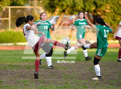 Thumbnail 2 in La Canada @ Blair photogallery.