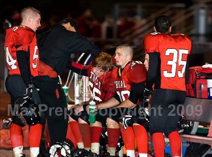 Thumbnail 2 in Jersey @ Triad photogallery.