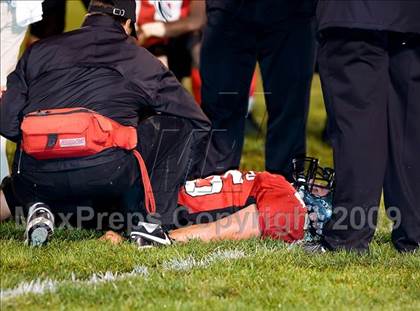 Thumbnail 1 in Jersey @ Triad photogallery.