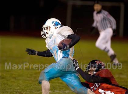 Thumbnail 1 in Jersey @ Triad photogallery.