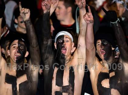 Thumbnail 3 in Jersey @ Triad photogallery.