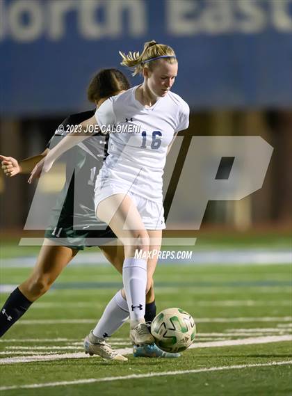 Thumbnail 2 in Reagan [Ronald] vs Johnson photogallery.