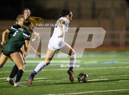 Thumbnail 2 in Reagan [Ronald] vs Johnson photogallery.