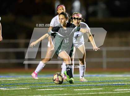 Thumbnail 2 in Reagan [Ronald] vs Johnson photogallery.
