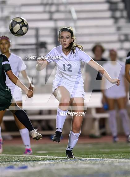 Thumbnail 2 in Reagan [Ronald] vs Johnson photogallery.