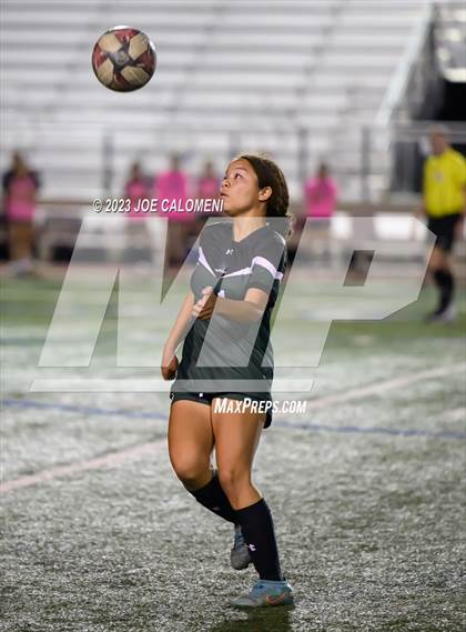 Thumbnail 1 in Reagan [Ronald] vs Johnson photogallery.
