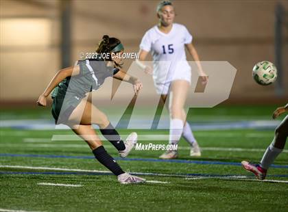 Thumbnail 1 in Reagan [Ronald] vs Johnson photogallery.