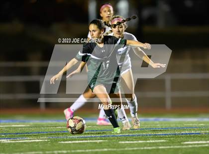Thumbnail 3 in Reagan [Ronald] vs Johnson photogallery.