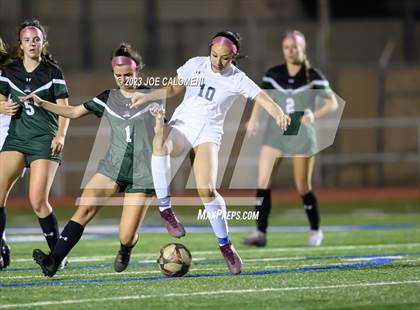 Thumbnail 3 in Reagan [Ronald] vs Johnson photogallery.