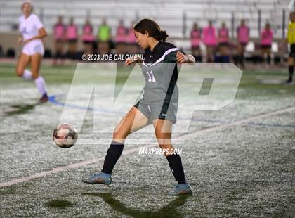 Thumbnail 1 in Reagan [Ronald] vs Johnson photogallery.