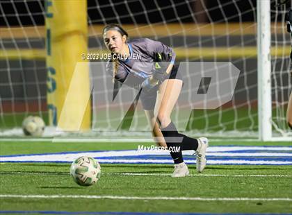 Thumbnail 1 in Reagan [Ronald] vs Johnson photogallery.