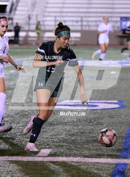 Thumbnail 1 in Reagan [Ronald] vs Johnson photogallery.