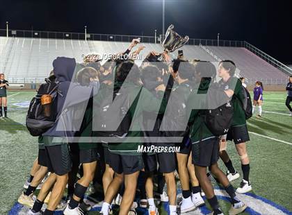 Thumbnail 2 in Reagan [Ronald] vs Johnson photogallery.