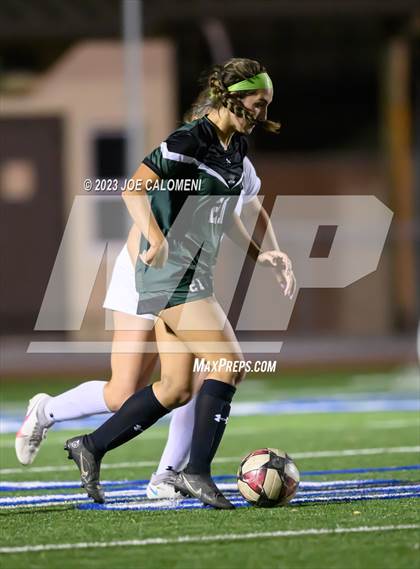 Thumbnail 2 in Reagan [Ronald] vs Johnson photogallery.