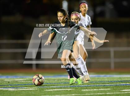 Thumbnail 2 in Reagan [Ronald] vs Johnson photogallery.