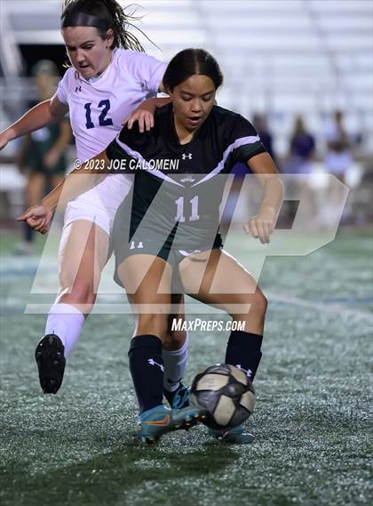 Thumbnail 3 in Reagan [Ronald] vs Johnson photogallery.