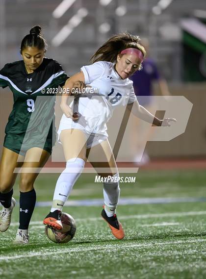 Thumbnail 2 in Reagan [Ronald] vs Johnson photogallery.