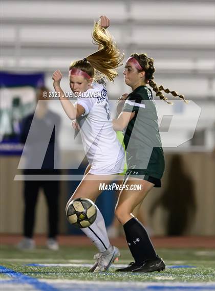 Thumbnail 2 in Reagan [Ronald] vs Johnson photogallery.