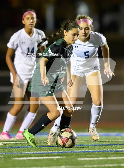 Thumbnail 1 in Reagan [Ronald] vs Johnson photogallery.