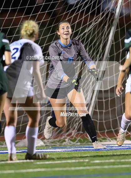 Thumbnail 2 in Reagan [Ronald] vs Johnson photogallery.