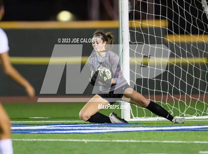 Thumbnail 1 in Reagan [Ronald] vs Johnson photogallery.