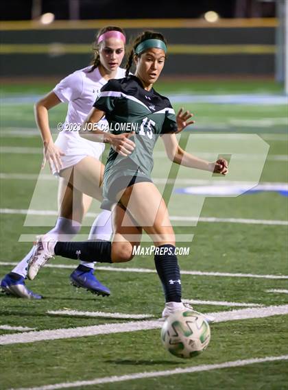 Thumbnail 1 in Reagan [Ronald] vs Johnson photogallery.