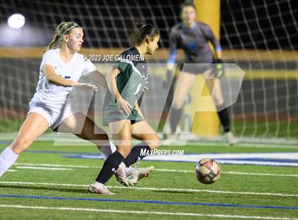 Thumbnail 2 in Reagan [Ronald] vs Johnson photogallery.