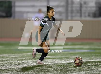 Thumbnail 2 in Reagan [Ronald] vs Johnson photogallery.