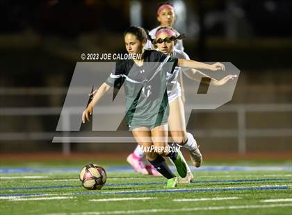 Thumbnail 1 in Reagan [Ronald] vs Johnson photogallery.