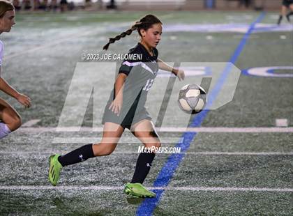 Thumbnail 2 in Reagan [Ronald] vs Johnson photogallery.