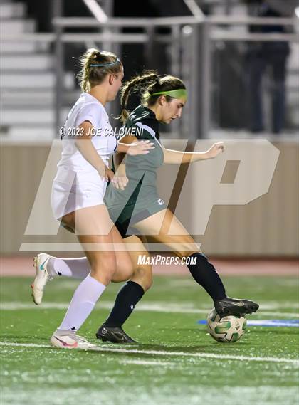 Thumbnail 3 in Reagan [Ronald] vs Johnson photogallery.