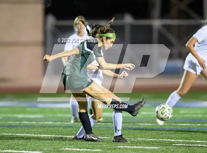 Thumbnail 1 in Reagan [Ronald] vs Johnson photogallery.