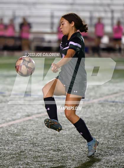 Thumbnail 2 in Reagan [Ronald] vs Johnson photogallery.