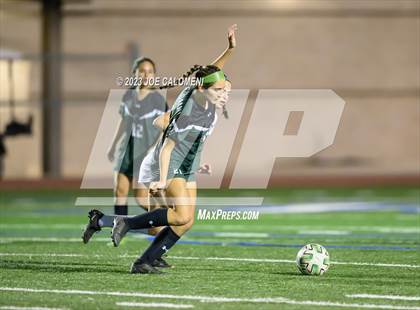 Thumbnail 2 in Reagan [Ronald] vs Johnson photogallery.