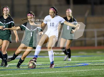 Thumbnail 2 in Reagan [Ronald] vs Johnson photogallery.