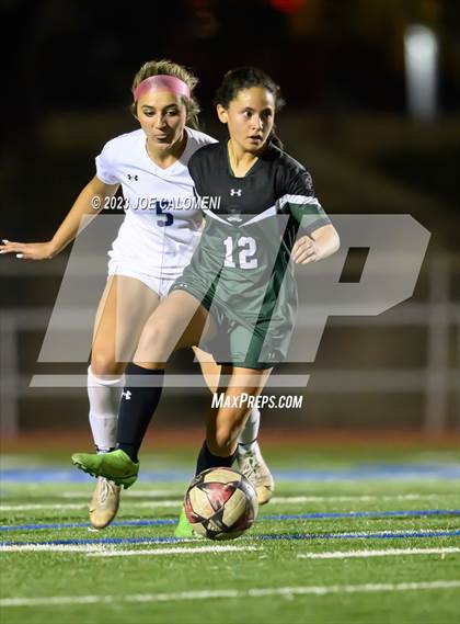 Thumbnail 1 in Reagan [Ronald] vs Johnson photogallery.