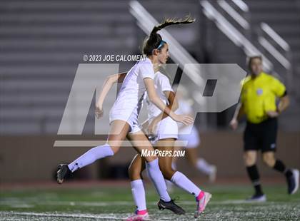 Thumbnail 2 in Reagan [Ronald] vs Johnson photogallery.