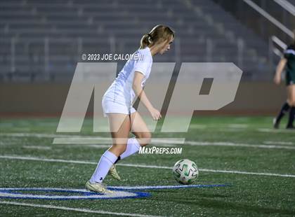 Thumbnail 2 in Reagan [Ronald] vs Johnson photogallery.