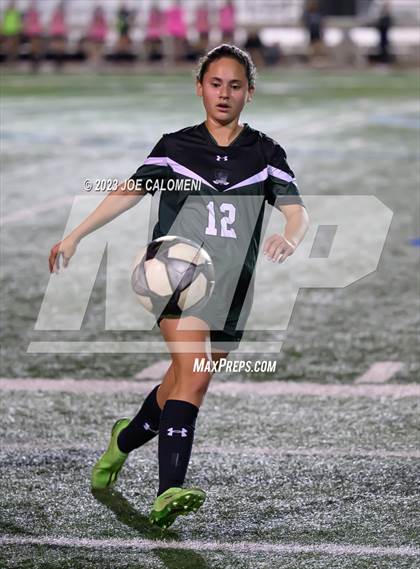 Thumbnail 1 in Reagan [Ronald] vs Johnson photogallery.