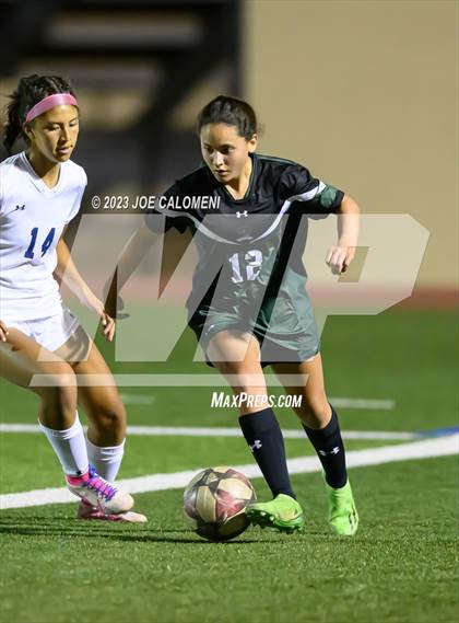 Thumbnail 3 in Reagan [Ronald] vs Johnson photogallery.