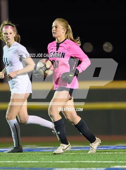 Thumbnail 1 in Reagan [Ronald] vs Johnson photogallery.