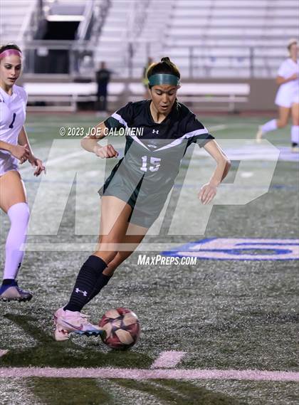 Thumbnail 3 in Reagan [Ronald] vs Johnson photogallery.