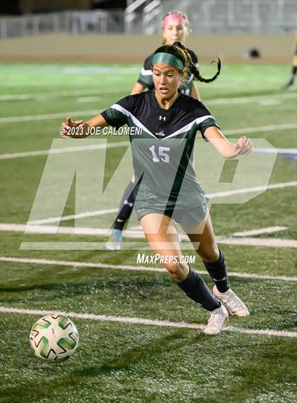 Thumbnail 1 in Reagan [Ronald] vs Johnson photogallery.