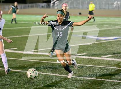 Thumbnail 2 in Reagan [Ronald] vs Johnson photogallery.