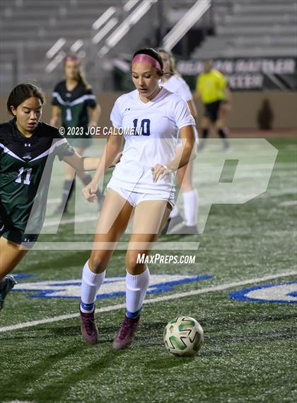 Thumbnail 1 in Reagan [Ronald] vs Johnson photogallery.