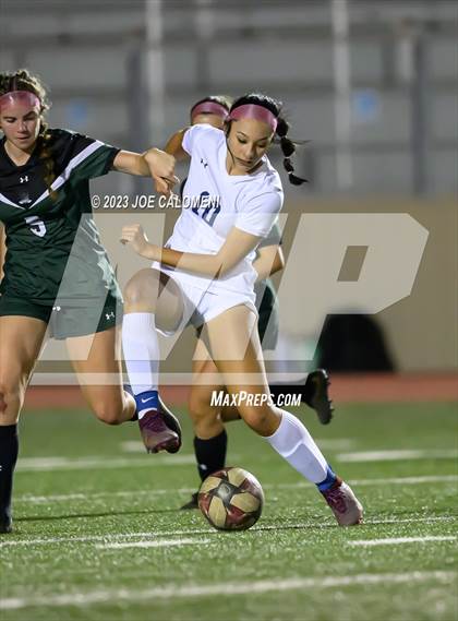 Thumbnail 2 in Reagan [Ronald] vs Johnson photogallery.