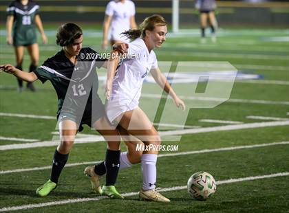 Thumbnail 2 in Reagan [Ronald] vs Johnson photogallery.