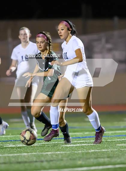 Thumbnail 1 in Reagan [Ronald] vs Johnson photogallery.