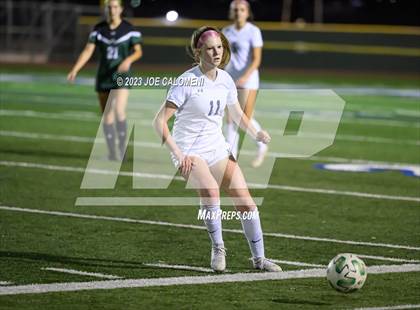 Thumbnail 3 in Reagan [Ronald] vs Johnson photogallery.